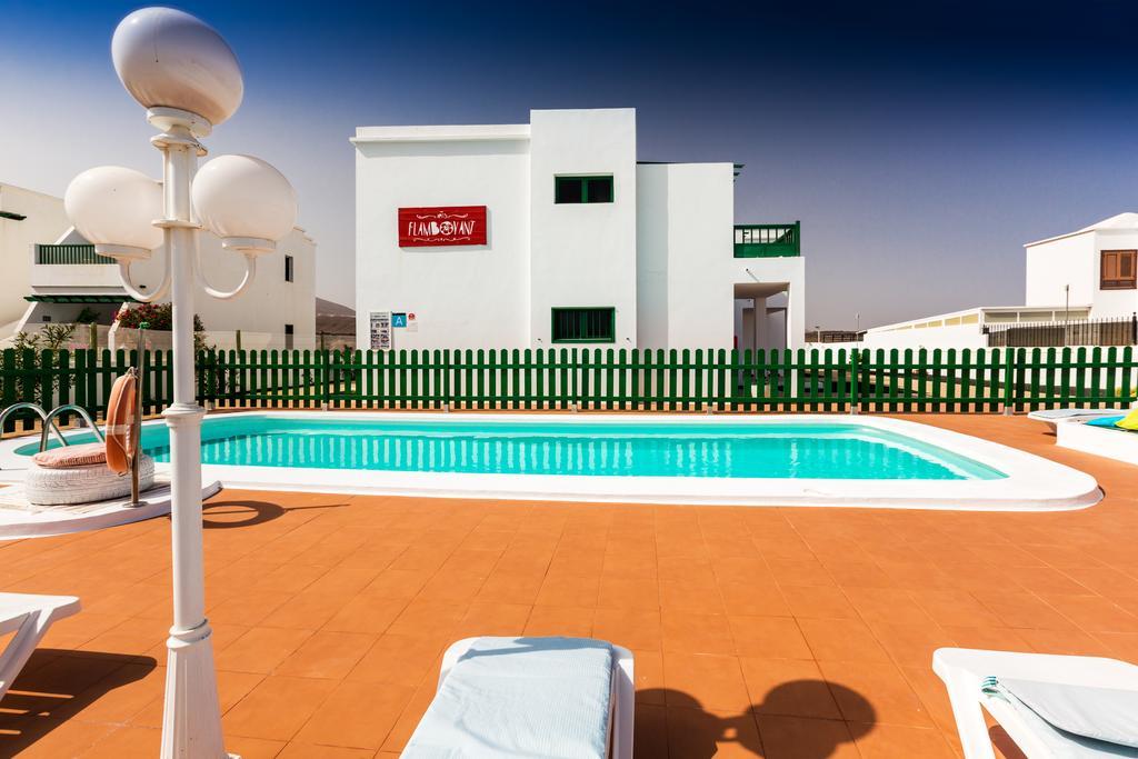 Apartment Flamboyant Adults Only